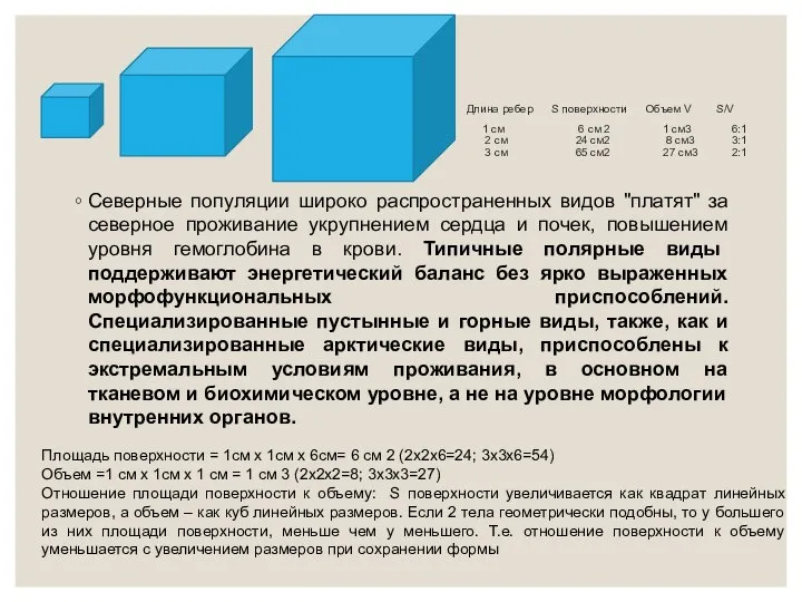 Длина ребер S поверхности Объем V S/V 1 cм 6 см