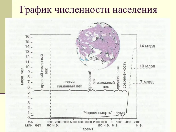 График численности населения