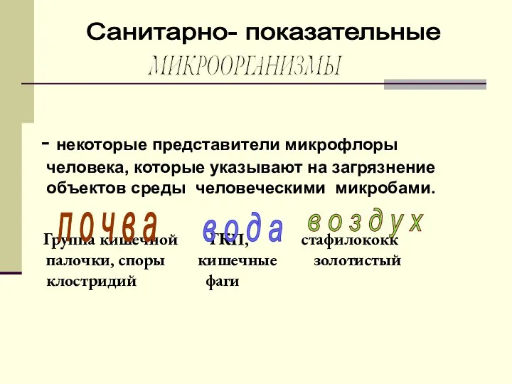 - некоторые представители микрофлоры человека, которые указывают на загрязнение объектов среды