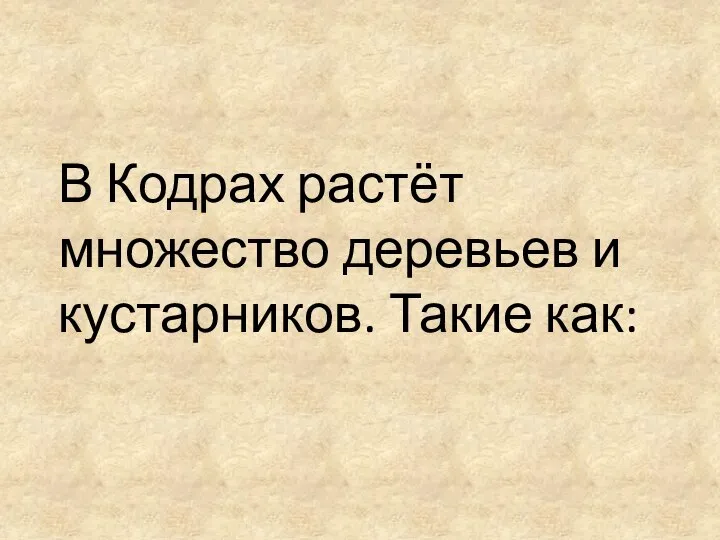 В Кодрах растёт множество деревьев и кустарников. Такие как: