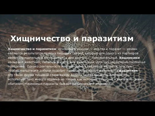 Хищничество и паразитизм Хищничество и паразитизм: отношения хищник — жертва и