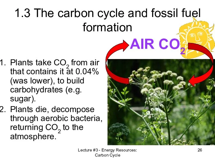 Lecture #3 - Energy Resources: Carbon Cycle 1.3 The carbon cycle