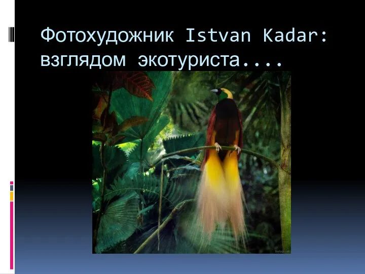 Фотохудожник Istvan Kadar: взглядом экотуриста....