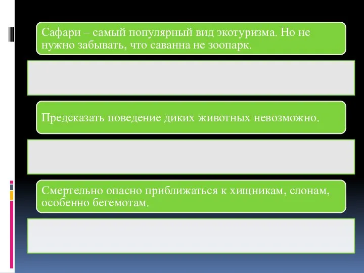 Сафари – самый популярный вид экотуризма. Но не нужно забывать, что