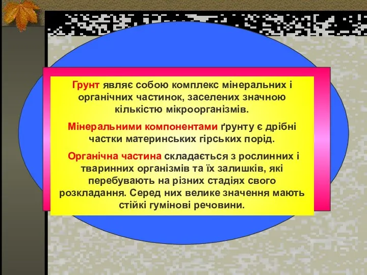 Грунт являє собою комплекс мінеральних і органічних частинок, заселених значною кількістю