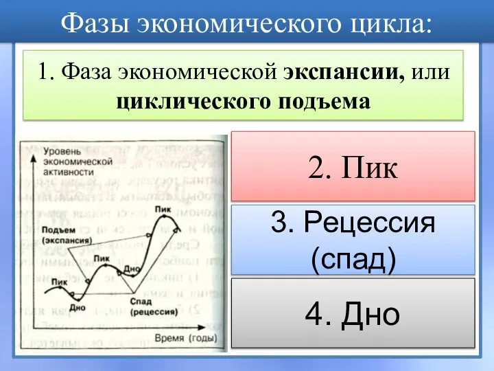 Фазы экономического цикла: 1. Фаза экономической экспансии, или циклического подъема 2.