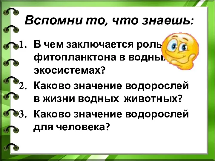 Вспомни то, что знаешь: В чем заключается роль фитопланктона в водных