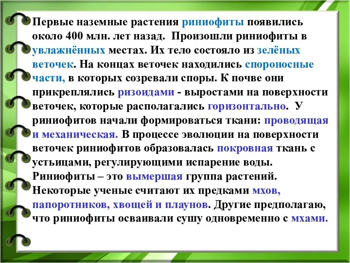 Первые наземные растения риниофиты появились около 400 млн. лет назад. Произошли