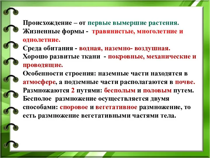 Происхождение – от первые вымершие растения. Жизненные формы - травянистые, многолетние