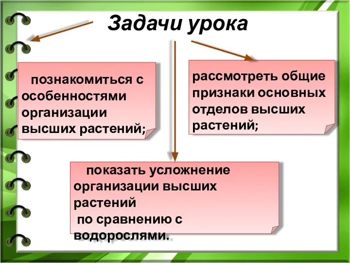 Задачи урока познакомиться с особенностями организации высших растений; рассмотреть общие признаки