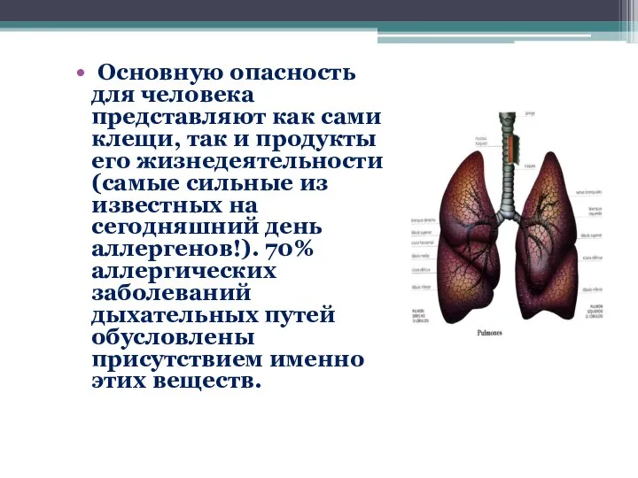 Основную опасность для человека представляют как сами клещи, так и продукты