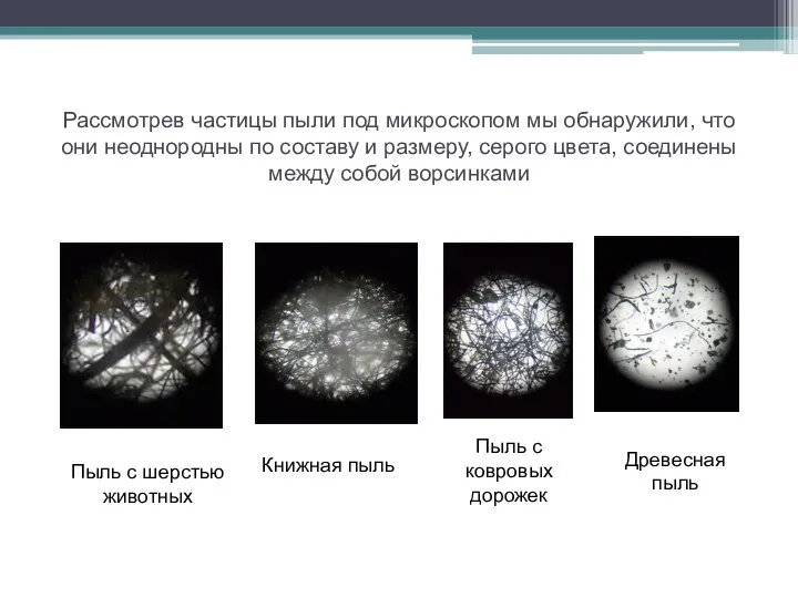 Рассмотрев частицы пыли под микроскопом мы обнаружили, что они неоднородны по