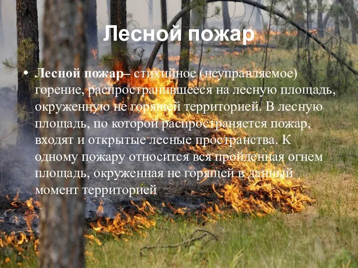 Лесной пожар Лесной пожар– стихийное (неуправляемое) горение, распространившееся на лесную площадь,
