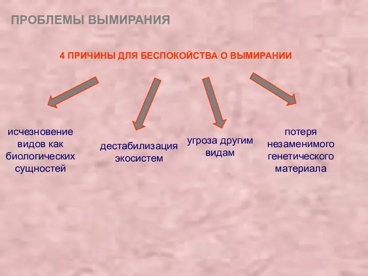 ПРОБЛЕМЫ ВЫМИРАНИЯ 4 ПРИЧИНЫ ДЛЯ БЕСПОКОЙСТВА О ВЫМИРАНИИ исчезновение видов как