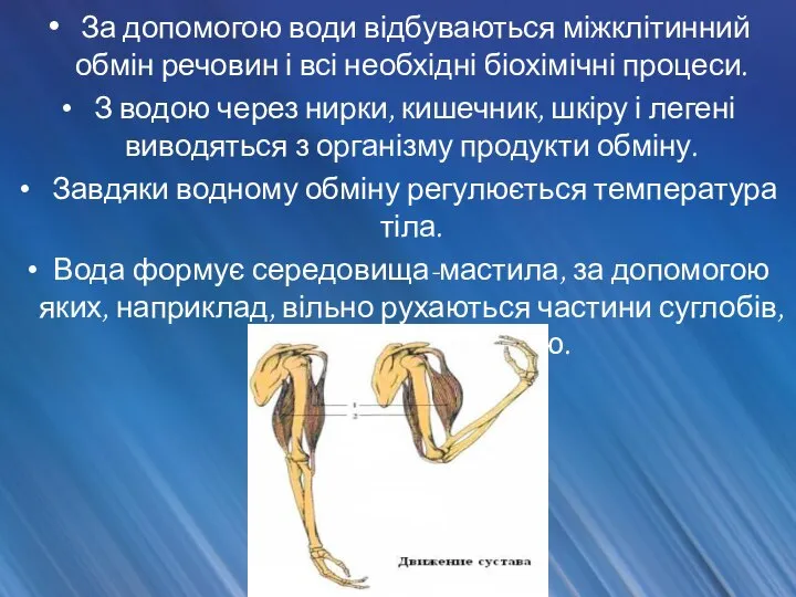 За допомогою води відбуваються міжклітинний обмін речовин і всі необхідні біохімічні