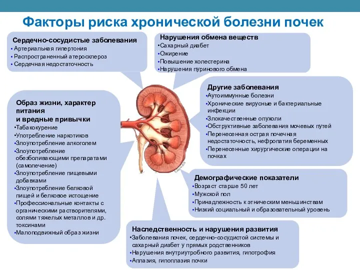 Факторы риска хронической болезни почек Нарушения обмена веществ Сахарный диабет Ожирение