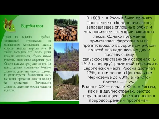 В 1888 г. в России было принято Положение о сбережении лесов,