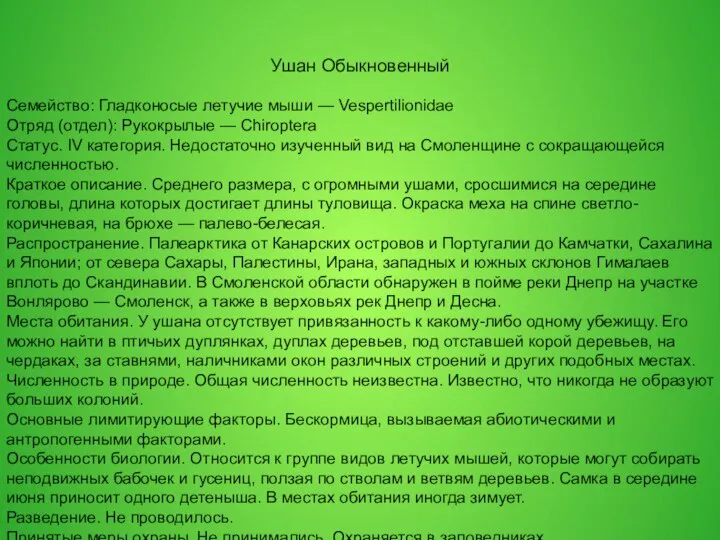 Ушан Обыкновенный Семейство: Гладконосые летучие мыши — Vespertilionidae Отряд (отдел): Рукокрылые