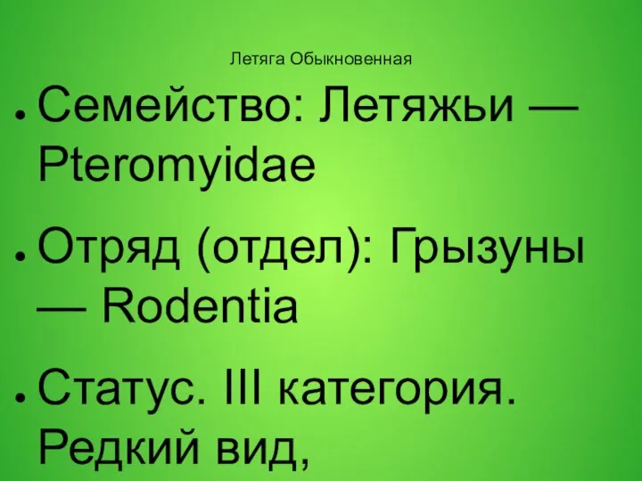 Летяга Обыкновенная Семейство: Летяжьи — Pteromyidae Отряд (отдел): Грызуны — Rodentia