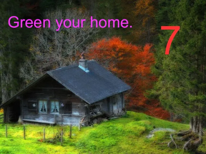 7 Green your home.