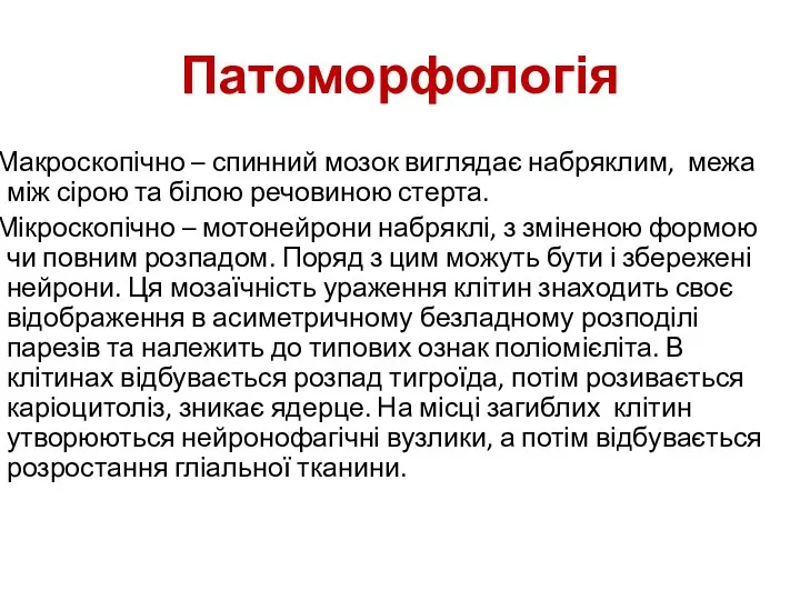 Патоморфологія Макроскопічно – спинний мозок виглядає набряклим, межа між сірою та