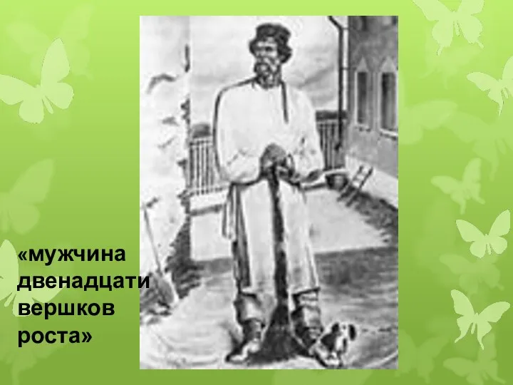 «мужчина двенадцати вершков роста»