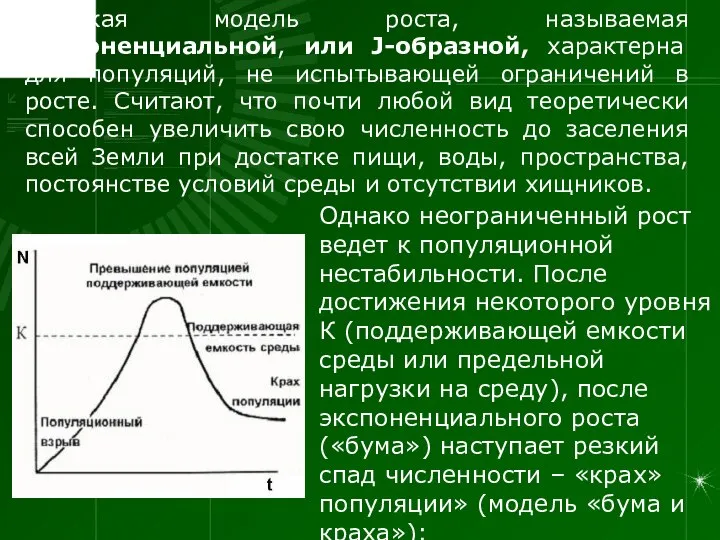 Такая модель роста, называемая экспоненциальной, или J-образной, характерна для популяций, не