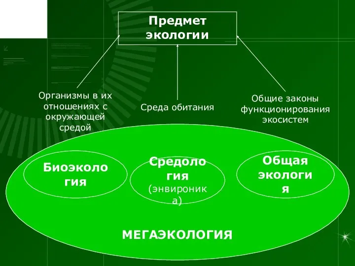 МЕГАЭКОЛОГИЯ Предмет экологии Организмы в их отношениях с окружающей средой Среда