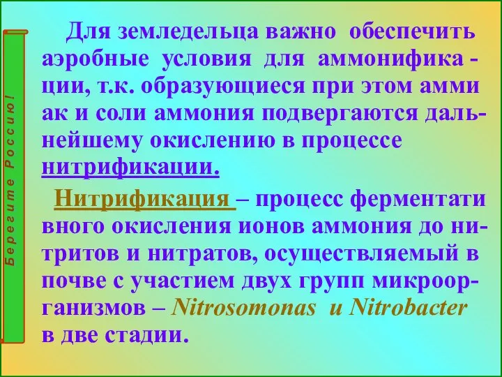 Для земледельца важно обеспечить аэробные условия для аммонифика -ции, т.к. образующиеся