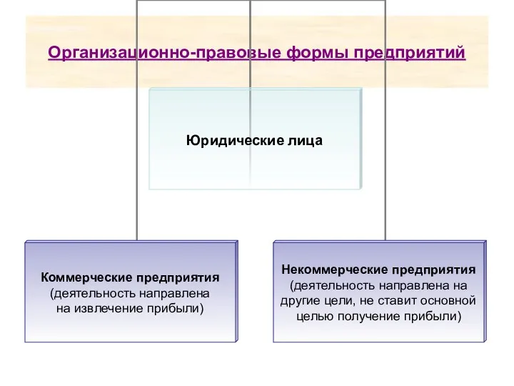 Организационно-правовые формы предприятий