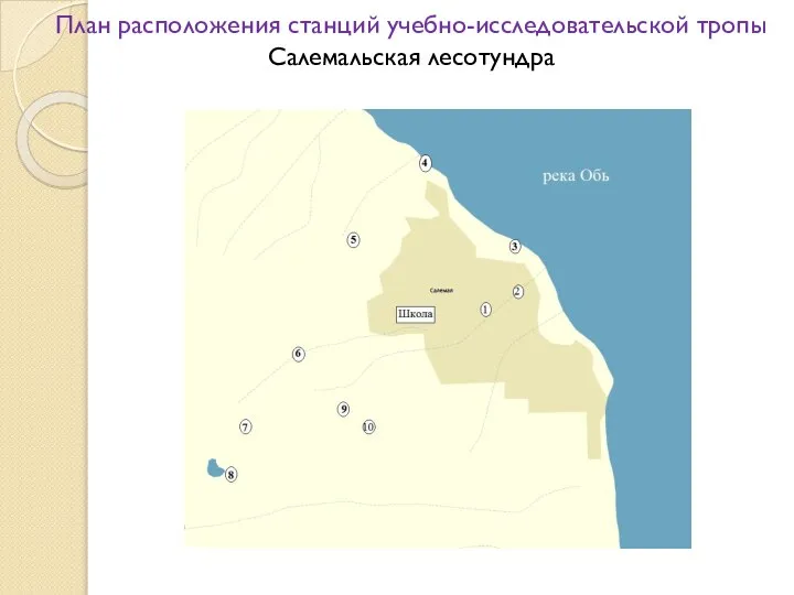 План расположения станций учебно-исследовательской тропы Салемальская лесотундра