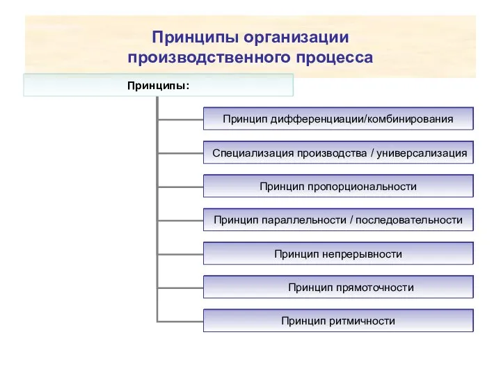 Принципы организации производственного процесса