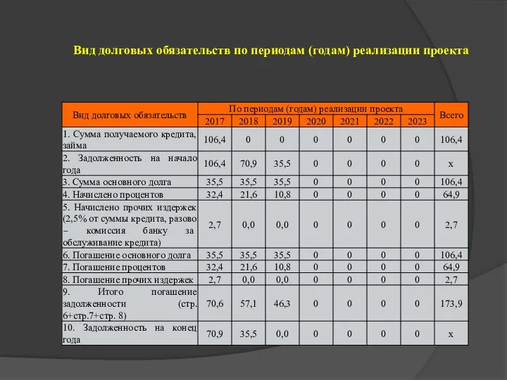 Вид долговых обязательств по периодам (годам) реализации проекта