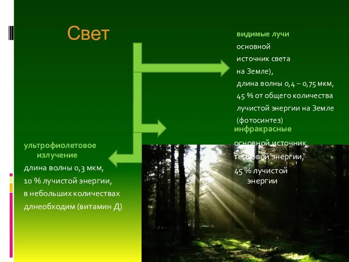 Свет инфракрасные основной источник тепловой энергии, 45 % лучистой энергии ультрофиолетовое