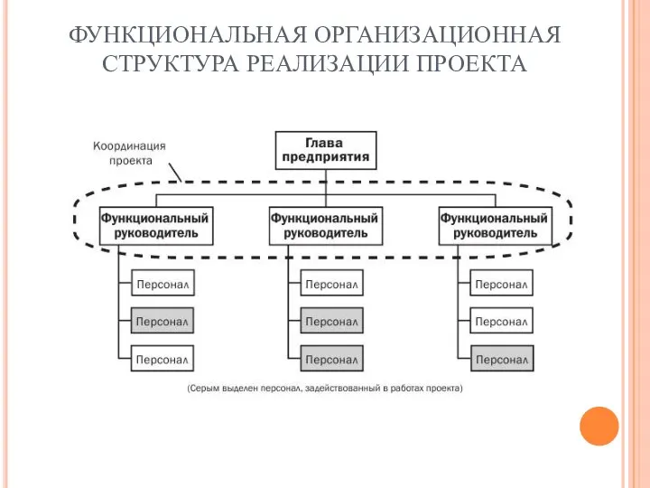 ФУНКЦИОНАЛЬНАЯ ОРГАНИЗАЦИОННАЯ СТРУКТУРА РЕАЛИЗАЦИИ ПРОЕКТА