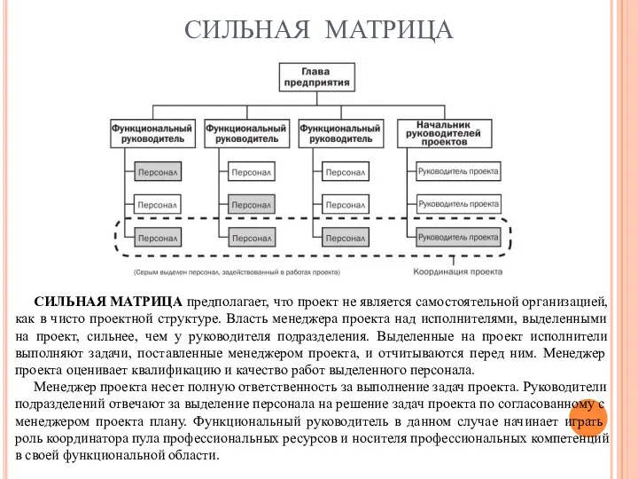 СИЛЬНАЯ МАТРИЦА СИЛЬНАЯ МАТРИЦА предполагает, что проект не является самостоятельной организацией,