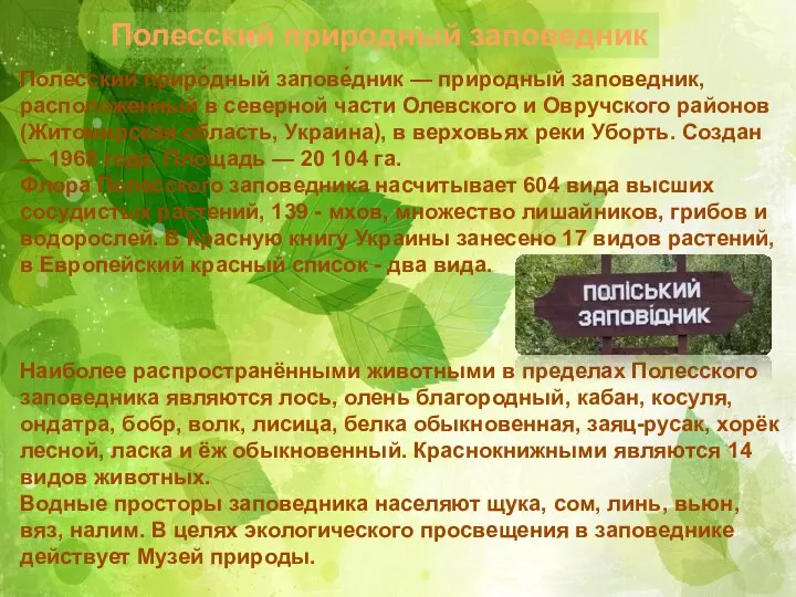 Полесский природный заповедник Поле́сский приро́дный запове́дник — природный заповедник, расположенный в