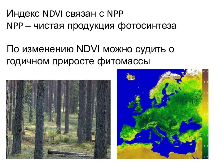 Индекс NDVI связан с NPP NPP – чистая продукция фотосинтеза По