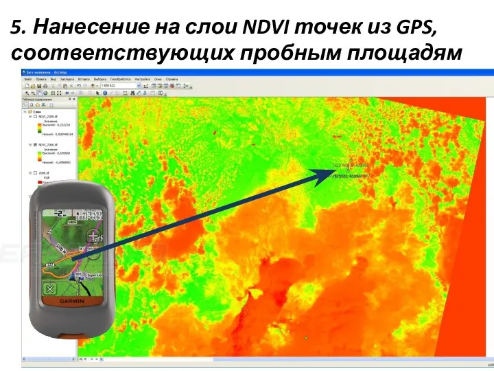 5. Нанесение на слои NDVI точек из GPS, соответствующих пробным площадям