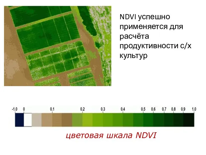 NDVI успешно применяется для расчёта продуктивности с/х культур цветовая шкала NDVI