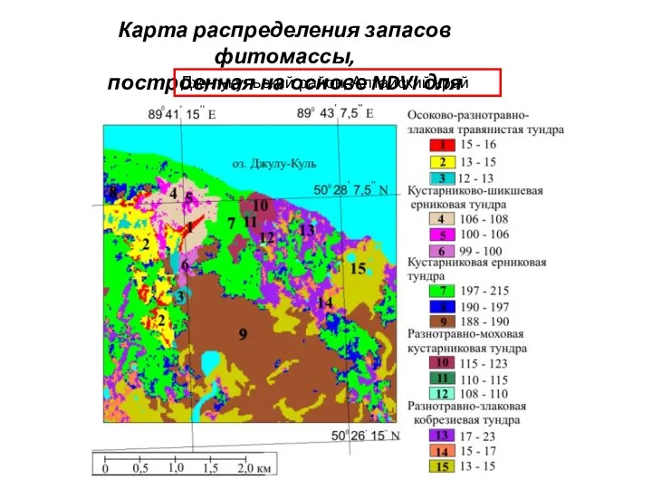 Карта распределения запасов фитомассы, построенная на основе NDVI для Джулукульский район, Алтайский край