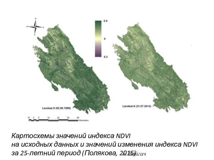 Картосхемы значений индекса NDVI на исходных данных и значений изменения индекса