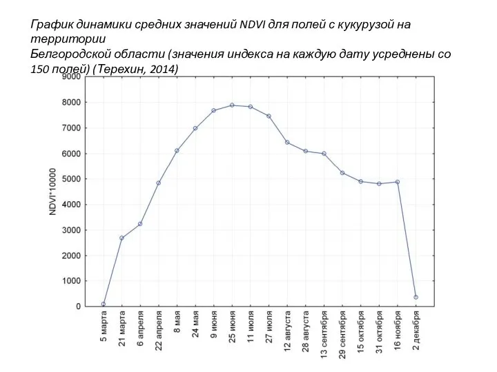 График динамики средних значений NDVI для полей с кукурузой на территории