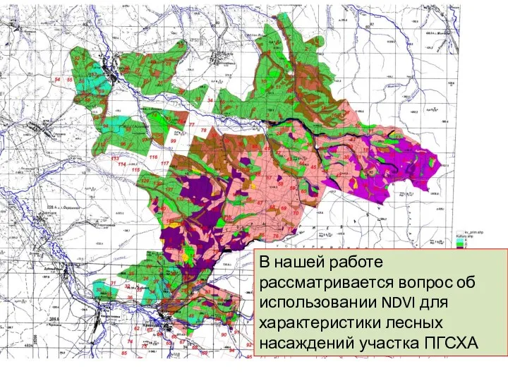 В нашей работе рассматривается вопрос об использовании NDVI для характеристики лесных насаждений участка ПГСХА