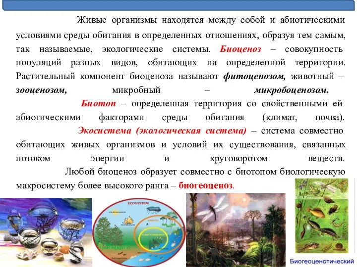 Живые организмы находятся между собой и абиотическими условиями среды обитания в