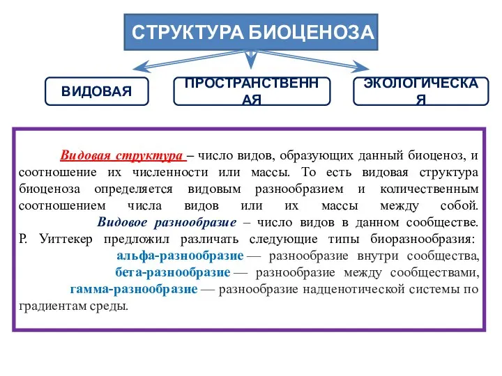 Видовая структура – число видов, образующих данный биоценоз, и соотношение их