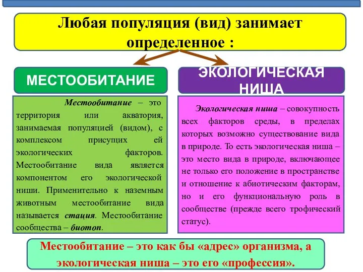 Любая популяция (вид) занимает определенное : МЕСТООБИТАНИЕ ЭКОЛОГИЧЕСКАЯ НИША Местообитание –