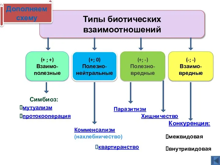 Типы биотических взаимоотношений (+ ; +) Взаимо- полезные (+; 0) Полезно-нейтральные