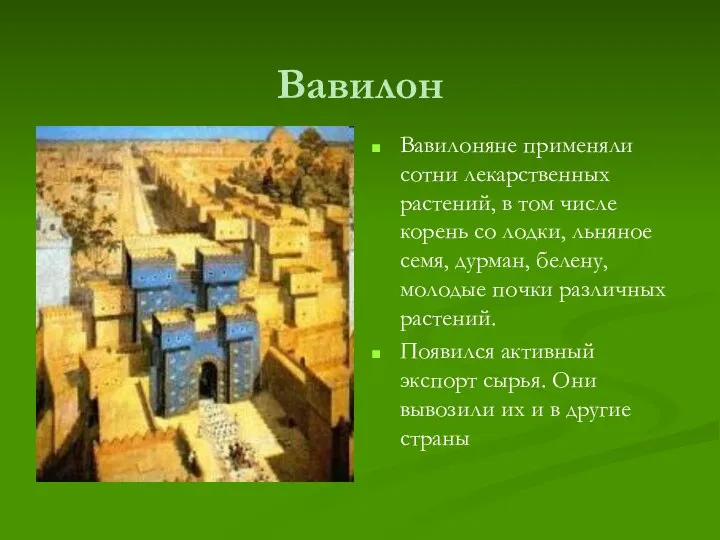 Вавилон Вавилоняне применяли сотни лекарственных растений, в том числе корень со