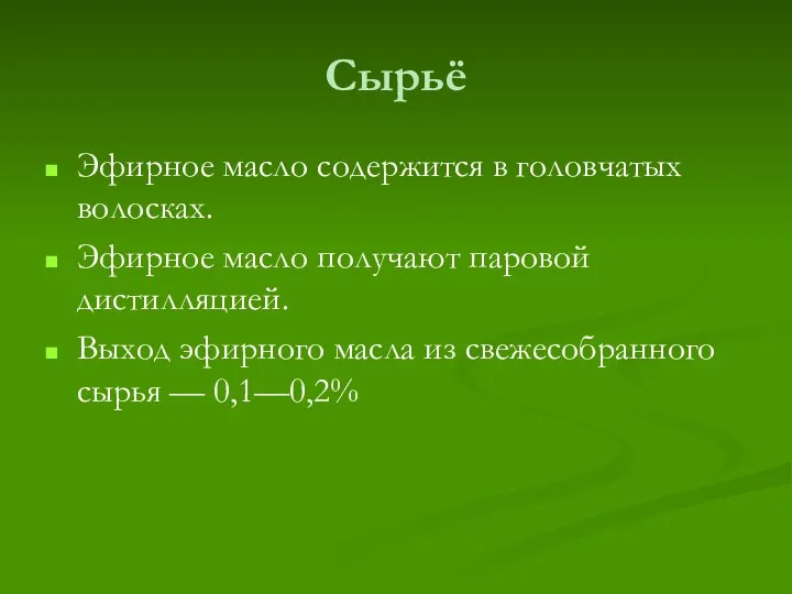 Сырьё Эфирное масло содержится в головчатых волосках. Эфирное масло получают паровой